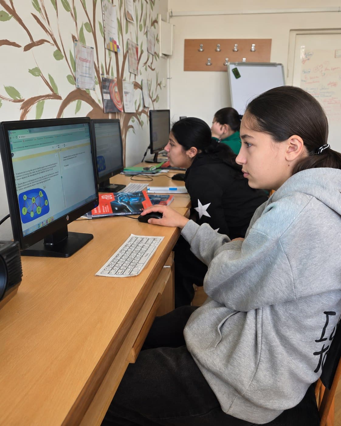 Three students at monitors in a school computer room, the nearest looking at a Bebras network puzzle on her screen.