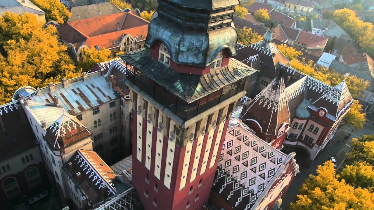 Still frame from the film about Serbia, accepted on the third application, 2024