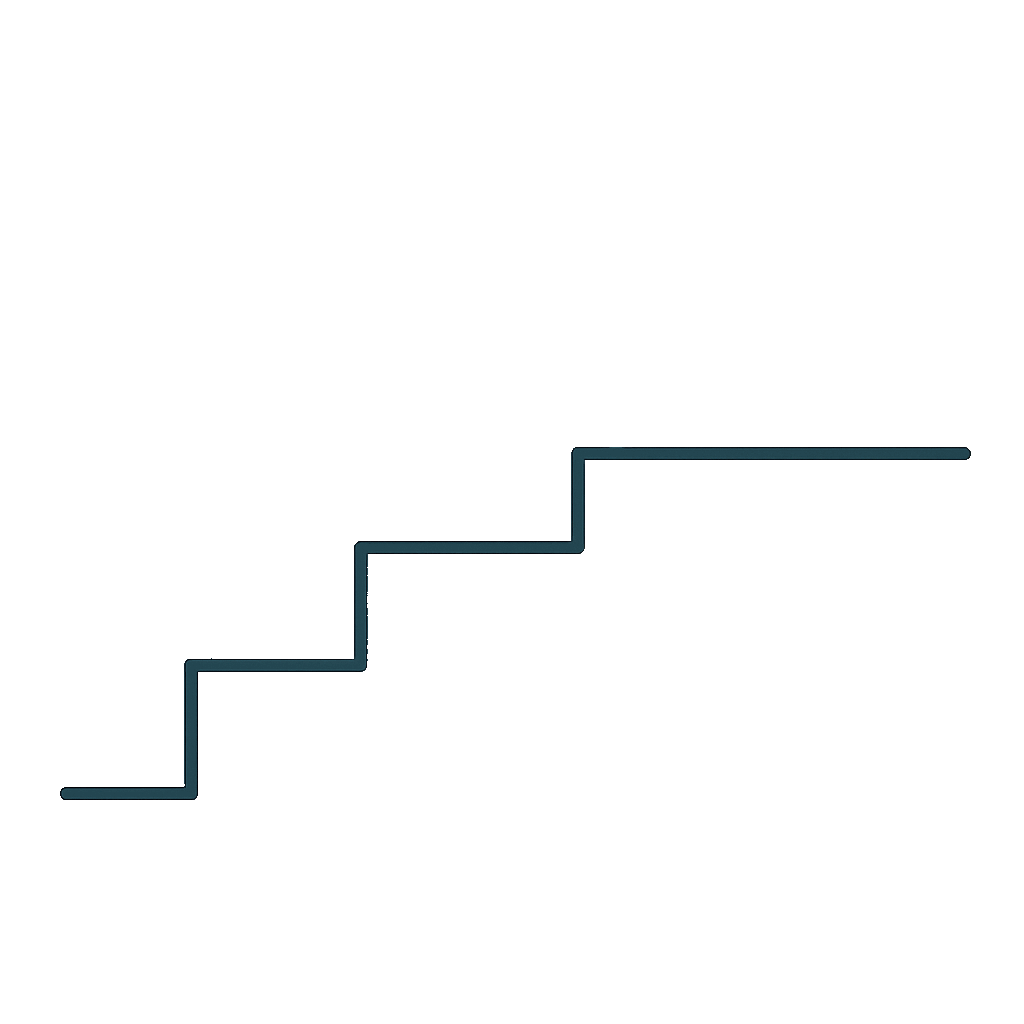 RISE Foundation - Steps to Success